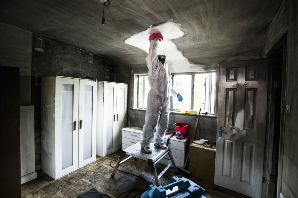 Mold Cleanups