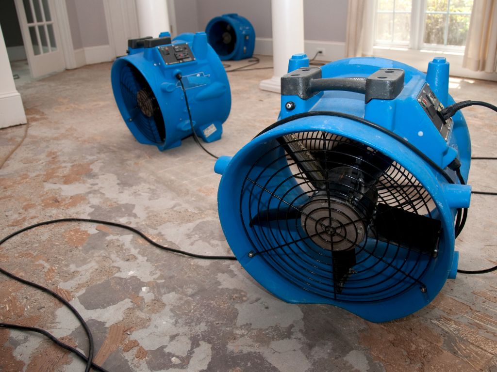 Three large blue industrial fans are placed on a bare, partially damaged floor inside a room with white columns and sunlight coming through windows. The fans are plugged in with black cords.