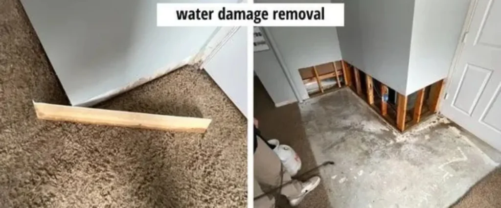 Two photos showing water damage removal and sewage cleanup: left, a wet carpet and baseboard removed from a wall; right, drywall cut away to expose wall studs and concrete floor, carpet partially removed.